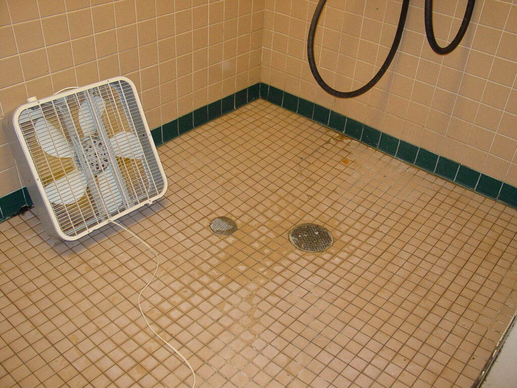 Shower Floor Sealed