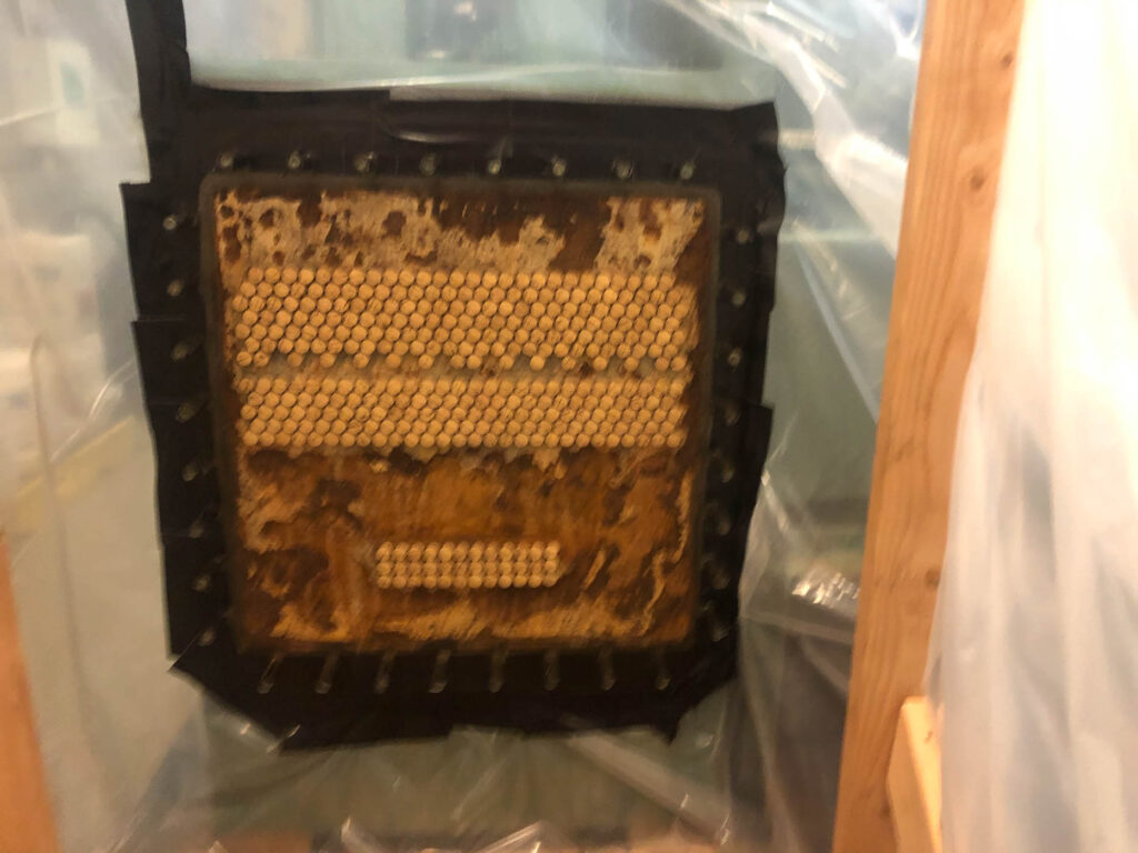 Chiller Tubesheet repaired and protected
